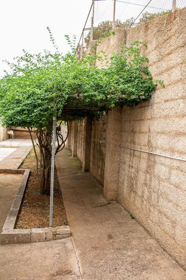 Godelleta Casa Mas Montanas Bed & Breakfast エクステリア 写真